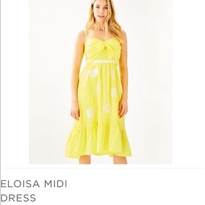 Lilly Pulitzer beautiful dress